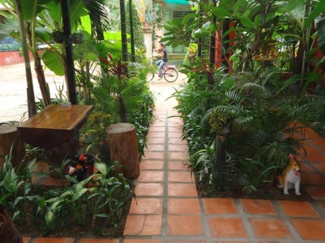 Ladybug Guesthouse Siem Reap Extérieur photo