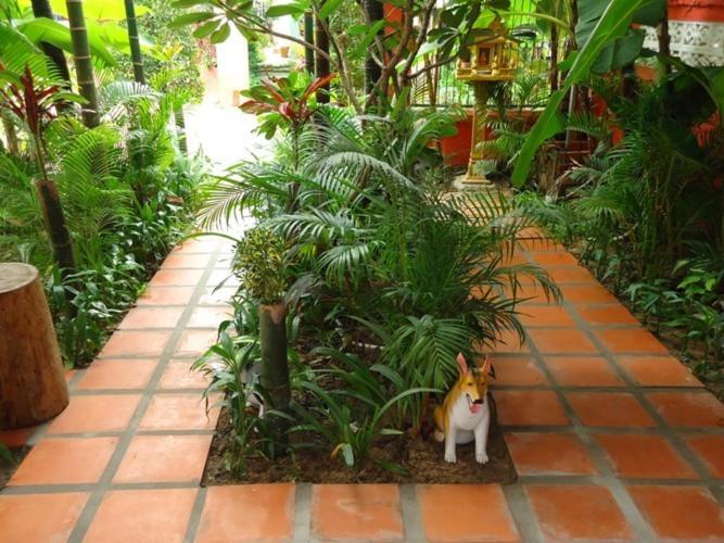 Ladybug Guesthouse Siem Reap Extérieur photo